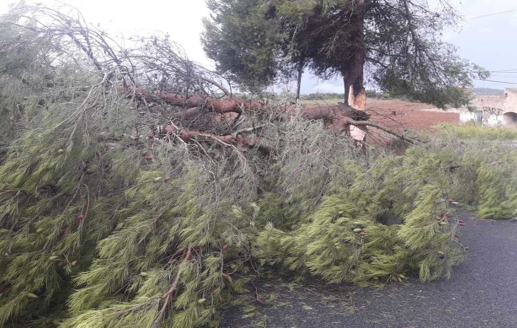 Mini tornado, regen en hagel zorgen voor veel schade op Mallorca