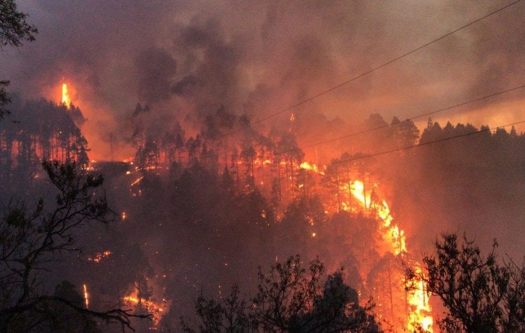 Meer dan 300 evacués bij bosbrand Canarische Eiland La Palma