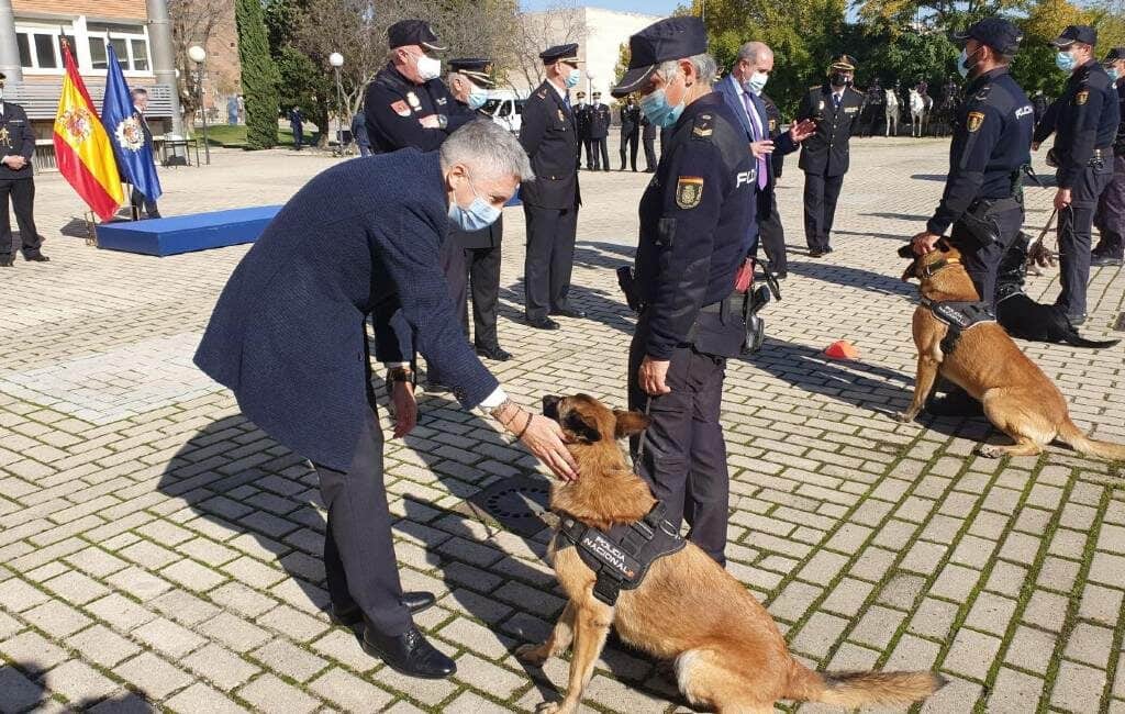 Onderscheidingen voor zes Spaanse politiehonden