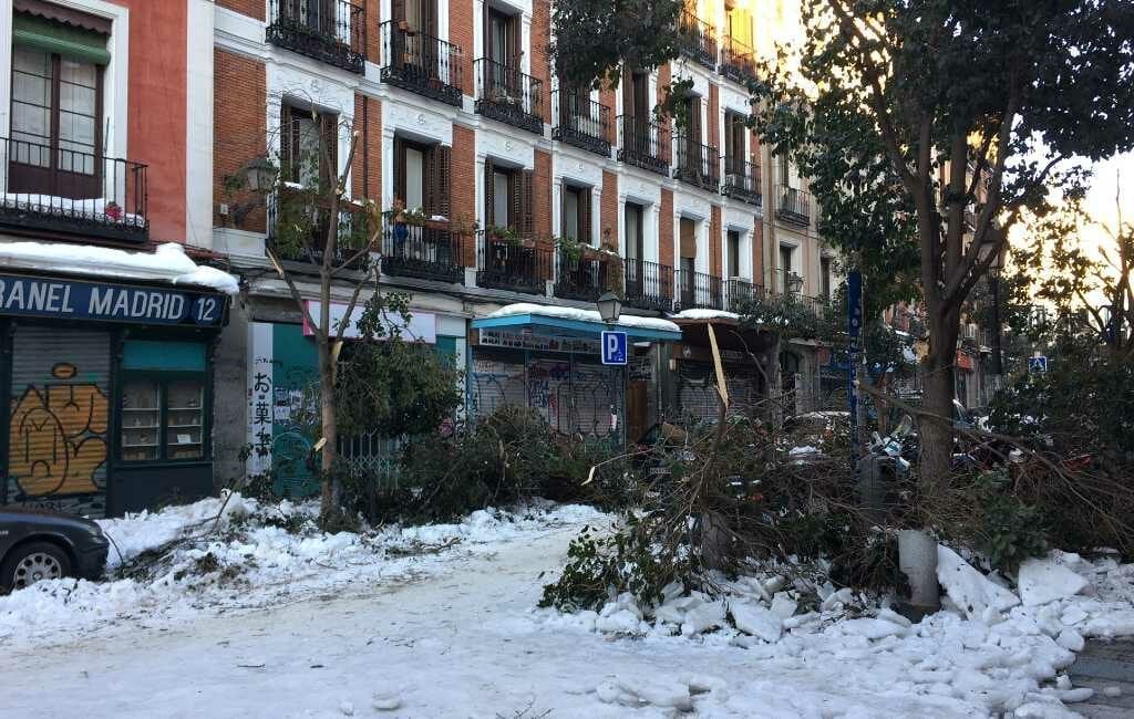 Spanje verklaart 8 regio’s tot catastrofale zones na sneeuwstorm Filomena