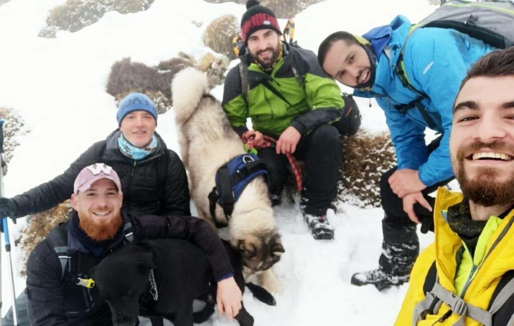 Sinds de Kerst vermiste hond middenin sneeuwstorm gered in bergen van Murcia