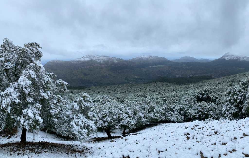 Lente op Mallorca begonnen met opnieuw sneeuwval in Tramuntana gebergte