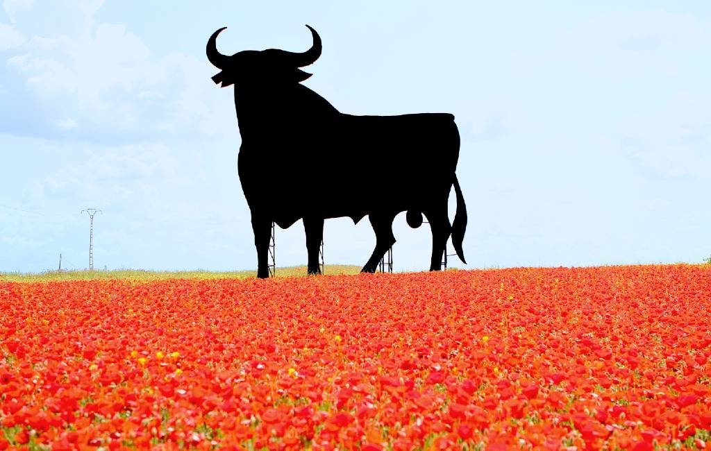 Het boegbeeld van Spanje de zwarte Osborne stier is 65 jaar oud geworden