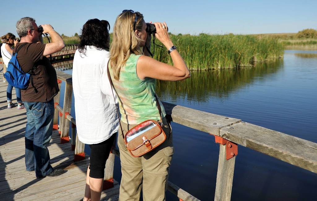 De Internationale Dag van de Vogelmigratie en vogeltelling op 8 en 9 mei in Spanje