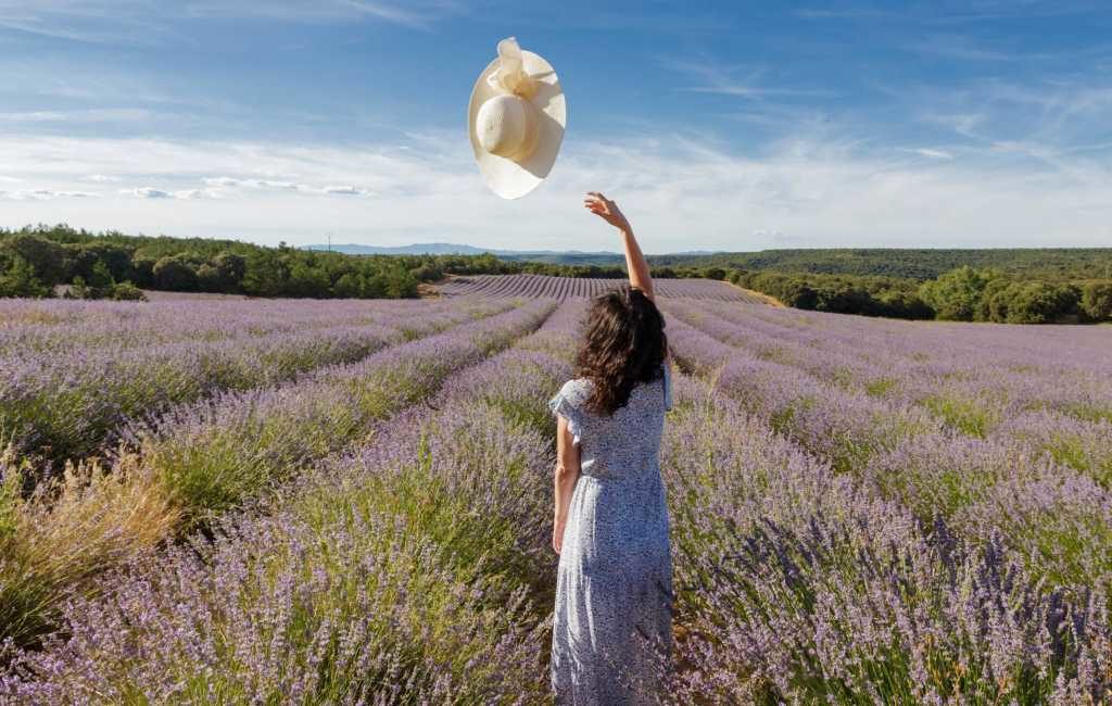 De Spaanse lavendelvelden staan weer volop in bloei