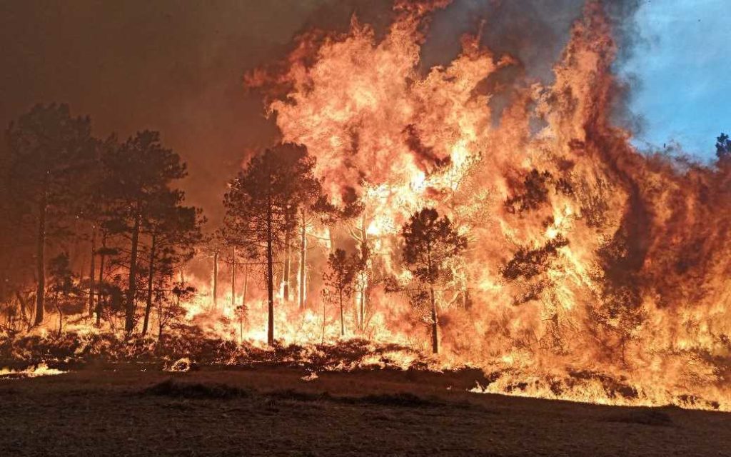 Grote bosbranden in Tarragona en Albacete met duizenden ha verwoeste natuur