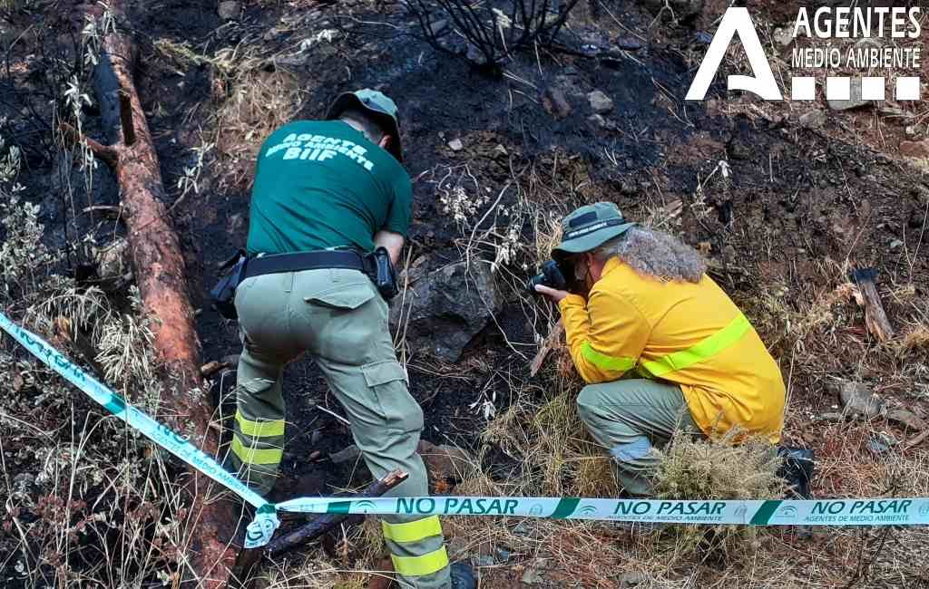 Is een burenruzie de oorsprong van de natuur- en bosbrand aan de Costa del Sol?