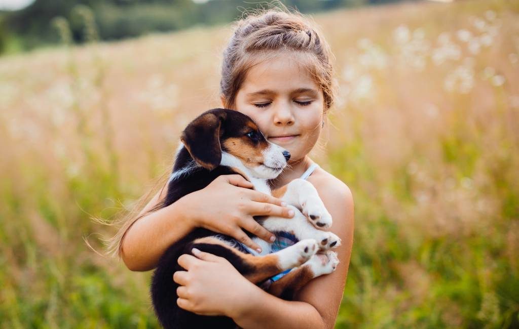 Nieuwe controversiële dierenwelzijnswet in de maak in Spanje