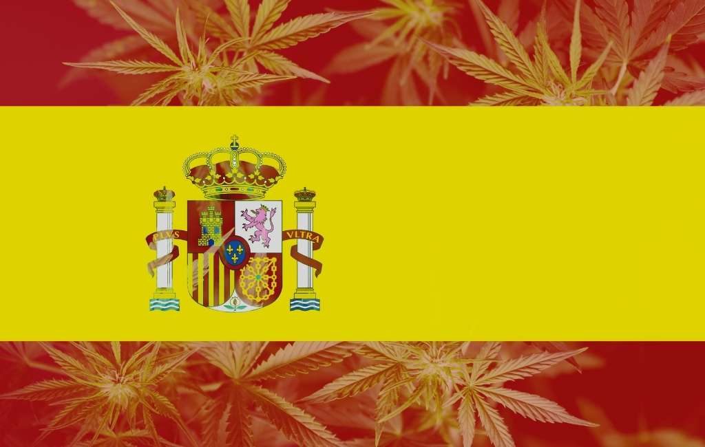 Malta is eerste EU-land dat cannabis legaliseert maar hoe is dat in Spanje?