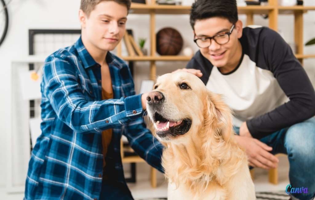 Meer huisdieren dan tieners jonger dan 15 jaar in Spanje