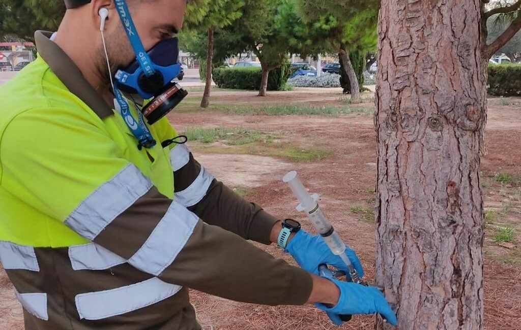 Cartagena ‘vaccineert’ dennen tegen de processierups