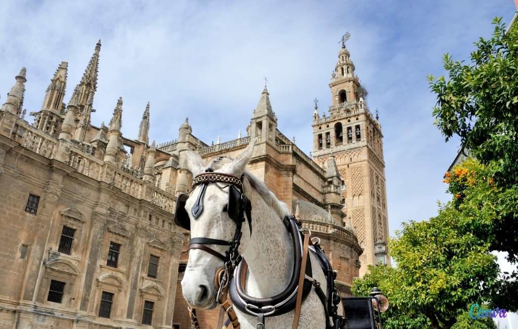 De Kerk in Spanje erkent dat ze duizend activa beheert die geen eigendommen zijn