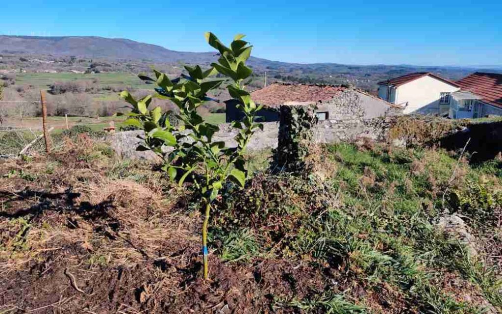 Emigratieverhaal Spanje: Een nieuw avontuur in Galicië (49)