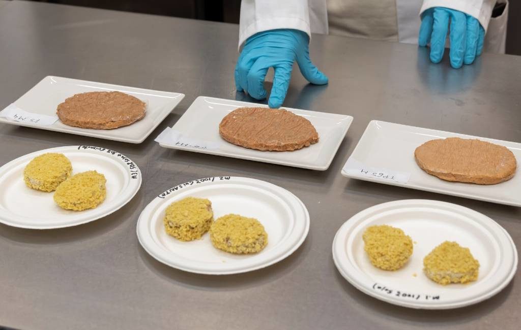 Spaans instituut ontwikkelt hamburgers van insecten, hennep of aardappelen