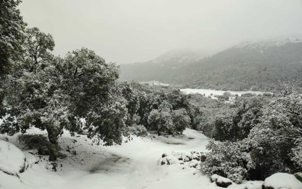 Sneeuw in het achterland van de provincie Málaga