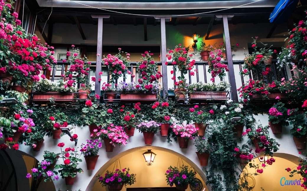Minst Van toepassing Klassiek Het bloemenfeest van de Patios de Córdoba wordt als vanouds gevierd