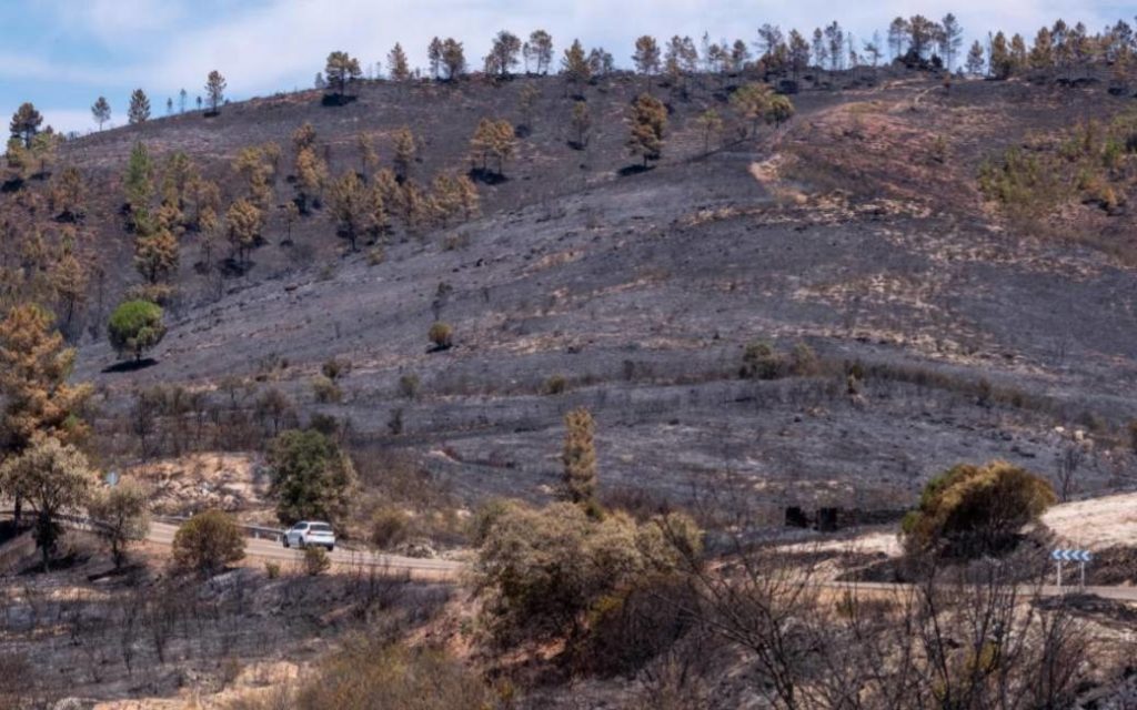 UPDATE 2 natuur- en bosbrand Costa del Sol: brand onder controle en evacuees kunnen terugkeren