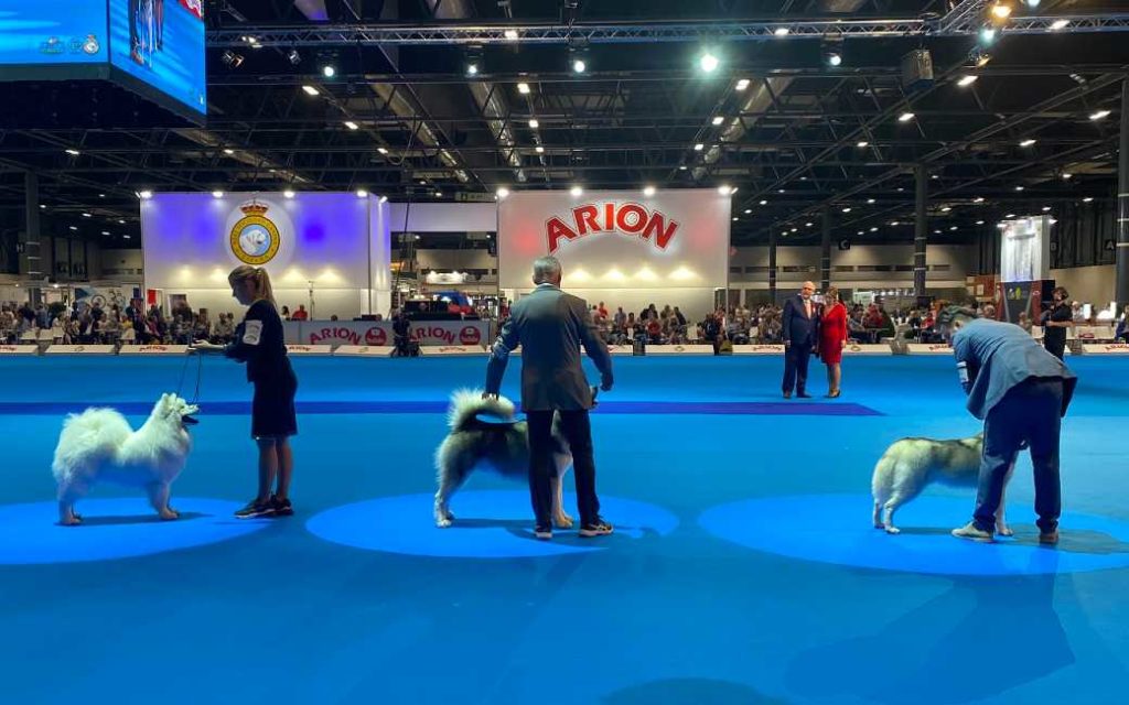 Grootste hondenshow ter wereld met 16 duizend honden begonnen in Madrid