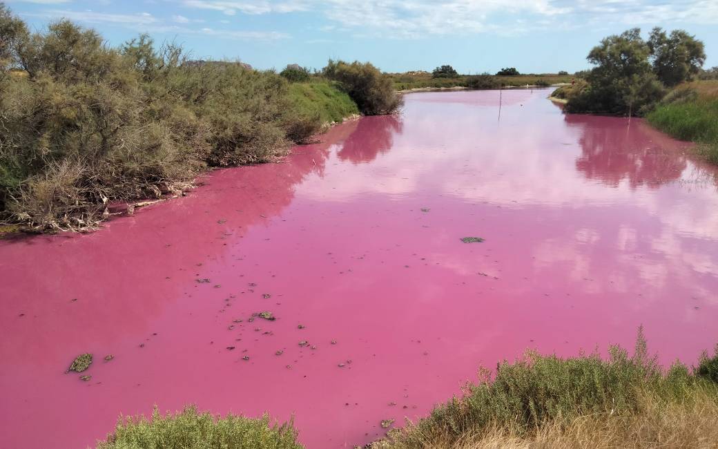 Water in de lagune van Torroella de Montgrí de Costa plots roze