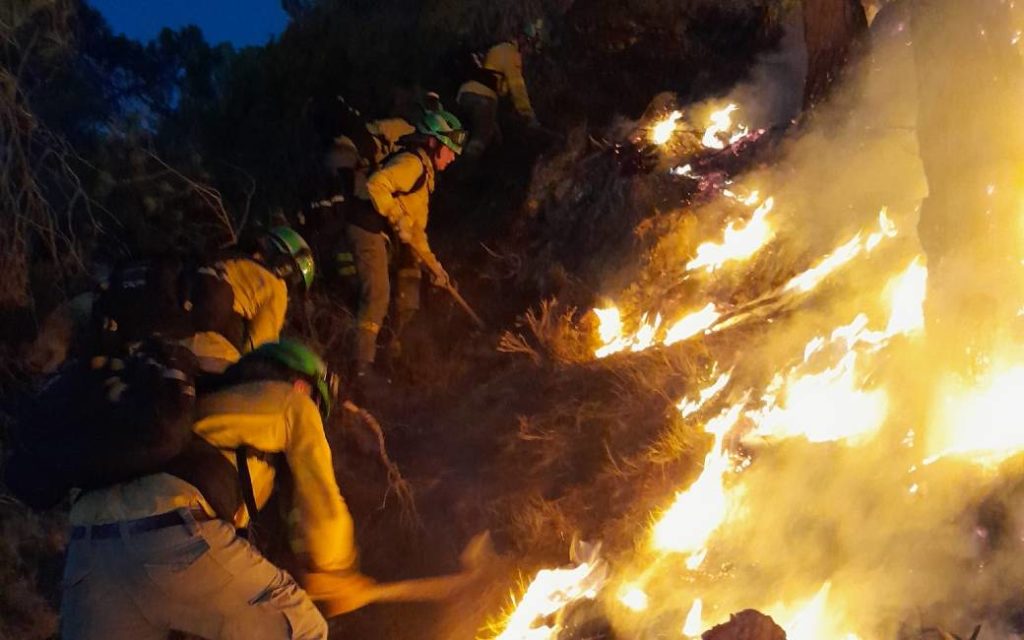 Grote natuur- en bosbrand legt alweer 3.000 hectare natuur in de as in Granada