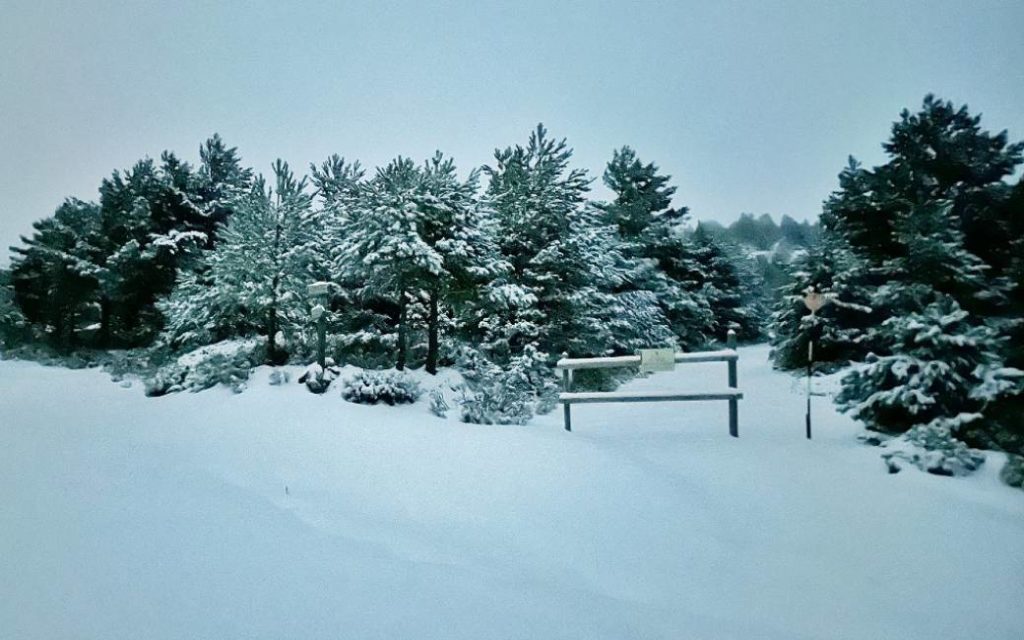 Eerste sneeuw gevallen nabij de Spaanse hoofdstad Madrid