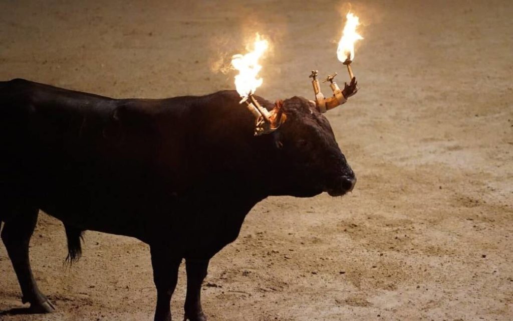 Boete voor deelname van kinderen aan festival met vuurstier in Valencia