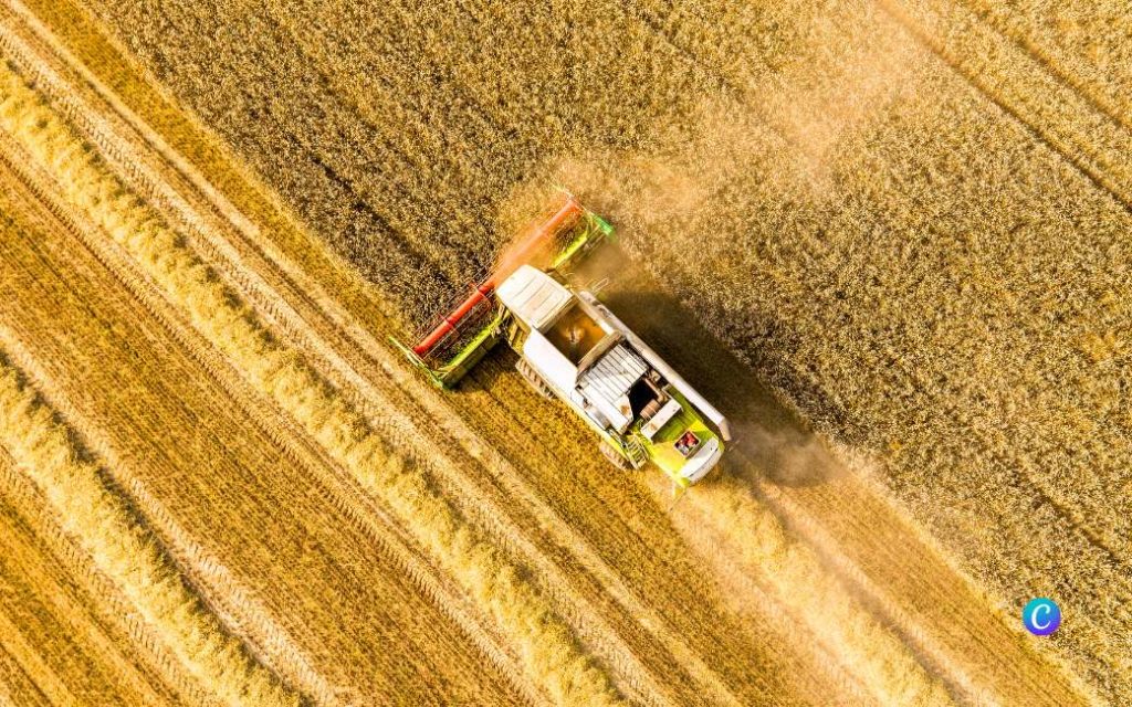 Welke levensmiddelen zijn duurder geworden door de droogte in Spanje?