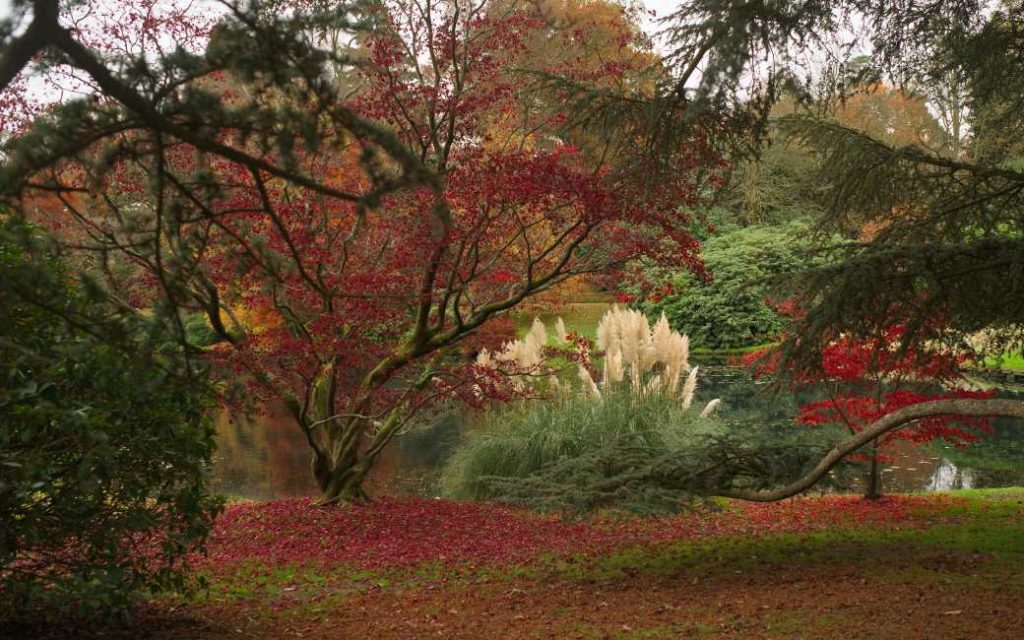 Welke soort bomen en planten komen tot recht in een Spaanse tuin?