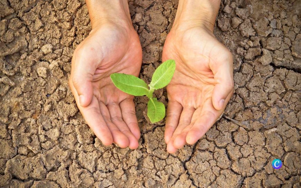 Spanje gaat 2,2 miljard euro uitgeven aan anti-droogte-plan