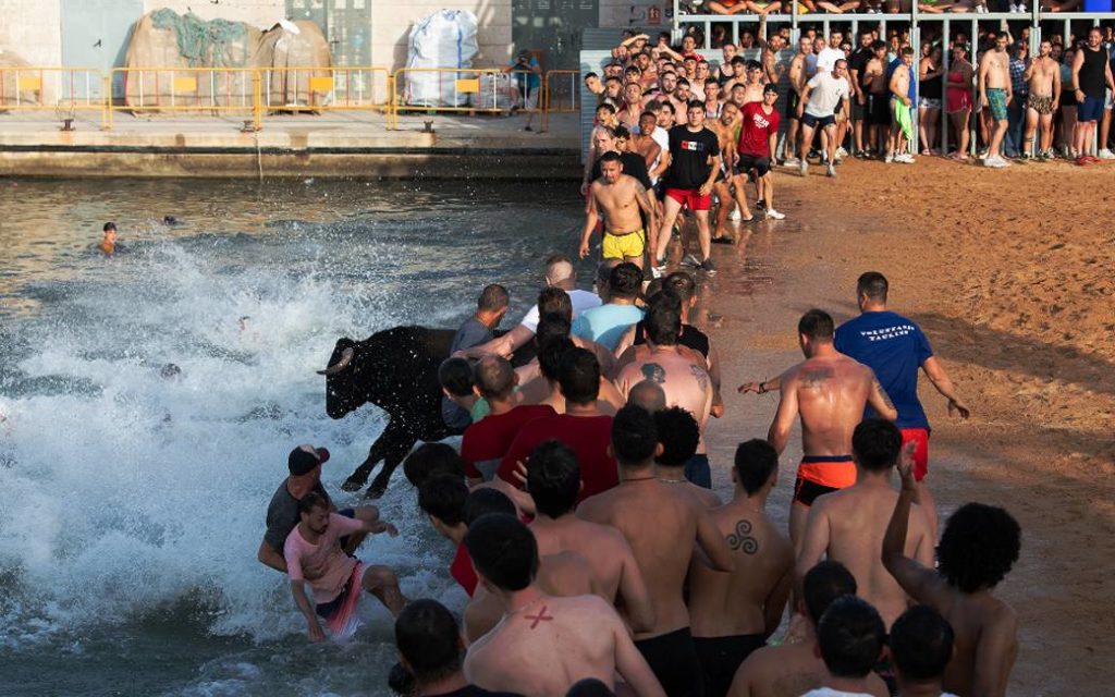 Wrede festiviteiten met stieren en koeien passen niet in een beschaafde Spaanse samenleving