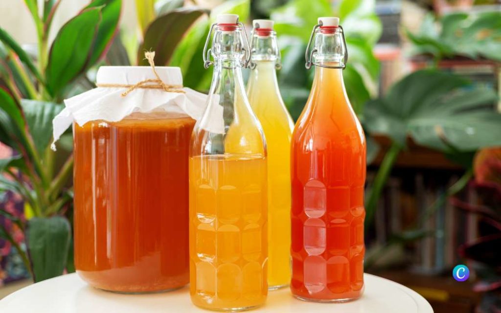 Wat is de in Spanje populaire ‘kombucha’ drank en hoe maak je dit zelf