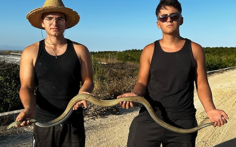 De nieuwste trend op sociale media: wilde dieren redden uit achtergelaten waterbassins