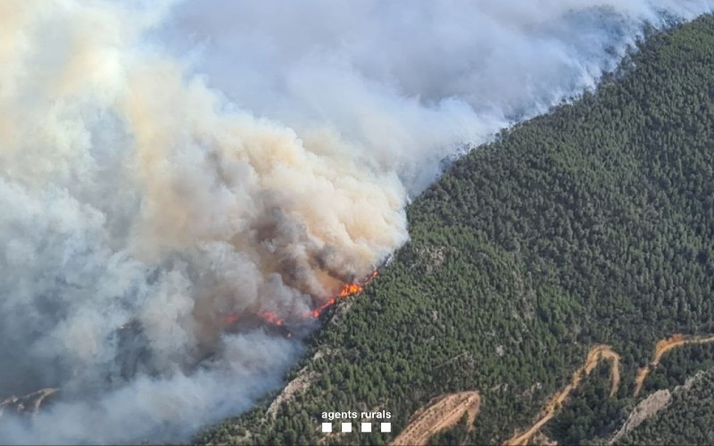 Bosbranden in het binnenland van Tarragona onder controle