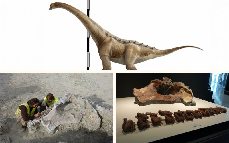 In Spanje is een nieuwe dinosaurus ontdekt: de qunkasaura pintiquiniestra