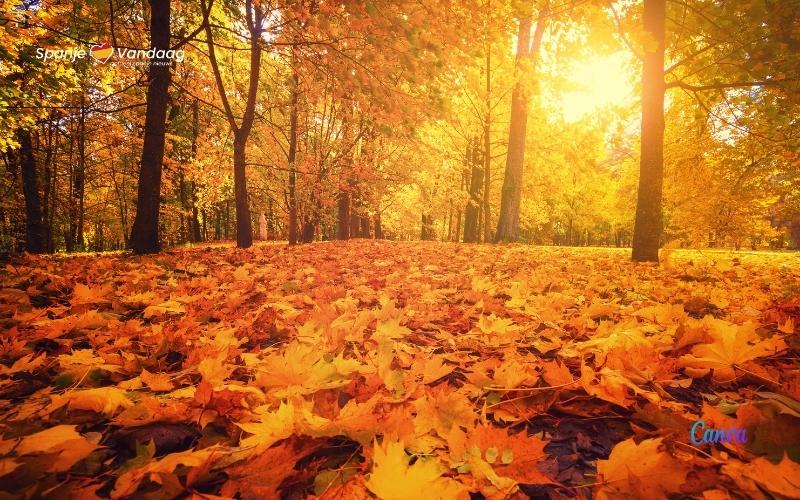 Waarom is de herfst het beste seizoen om Spanje te bezoeken?