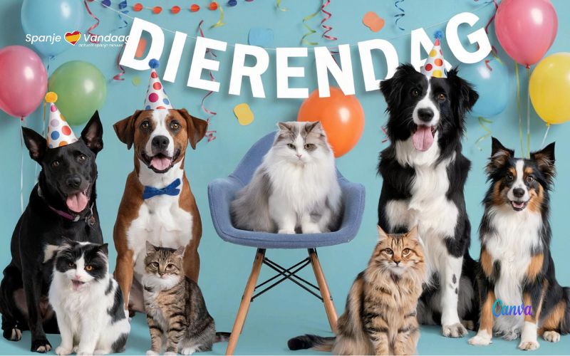 Is Spanje diervriendelijk genoeg voor Wereld Dierendag?