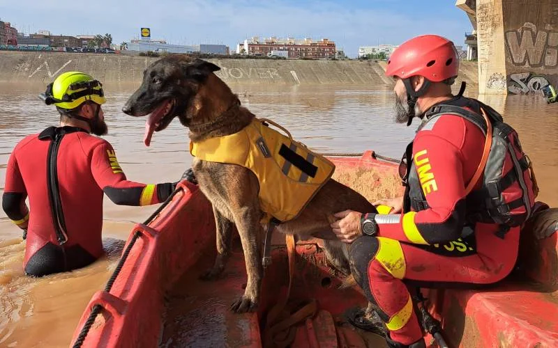 In een tijdsbestek van 24 uur zijn er 33 mensen in Valencia gered