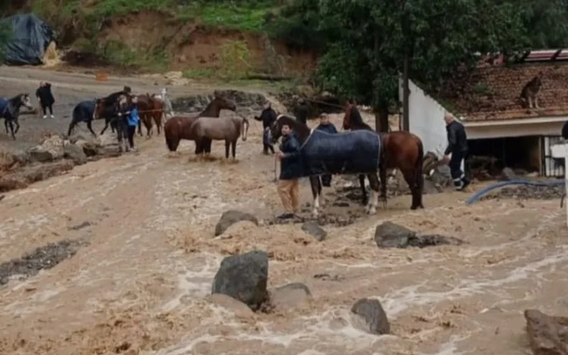 Málaga voorkomt chaos ondanks zware regenval tijdens de DANA