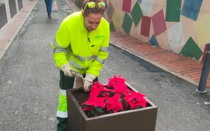 Benidorm siert de straten met bijna 10.000 nieuwe sierplanten