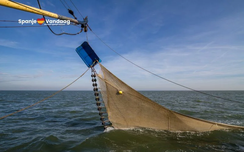 Visserijsector in de Middellandse Zee vreest instorting door drastische EU-maatregelen