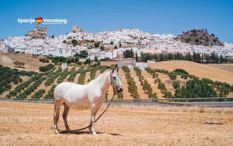 54 dorpen in Andalusië zoeken nieuwe bewoners en bieden goedkope huren en werkgelegenheid