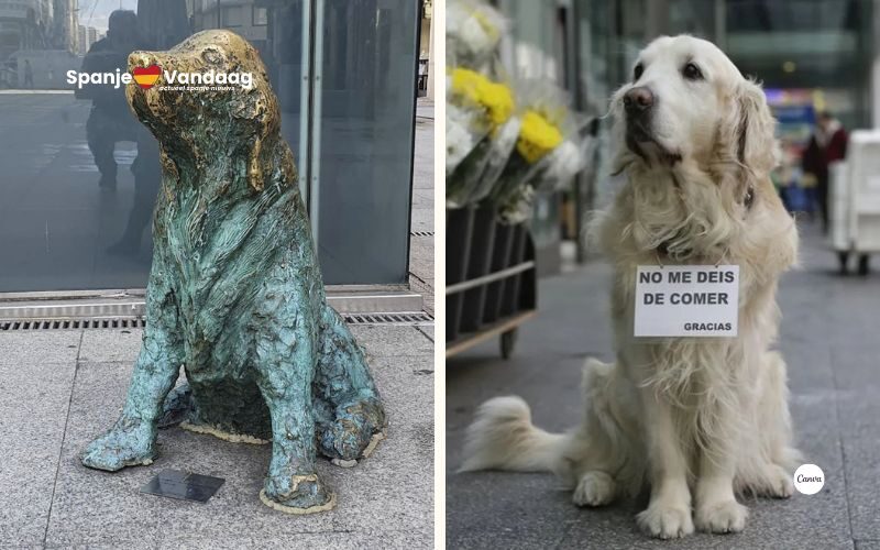 Dit is waarom er een standbeeld van een Golden Retriever in A Coruña in Galicië staat