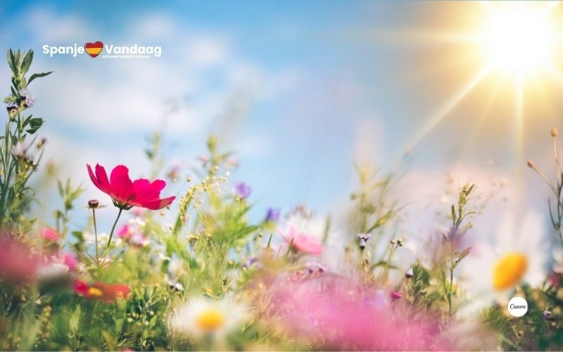 Lenteweer keert eindelijk terug in Spanje met zon en 24 graden