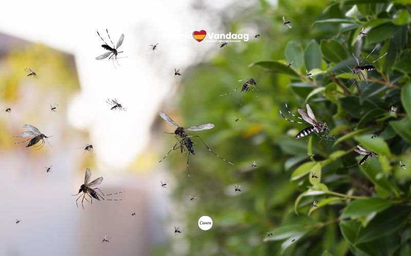 via canva.com