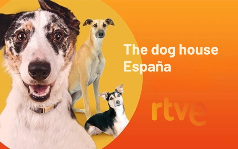 RTVE / web
