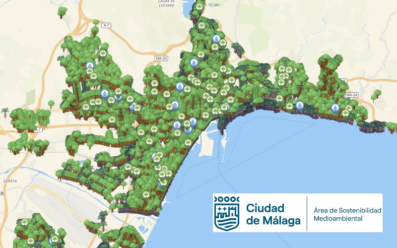 Gemeente Málaga / web