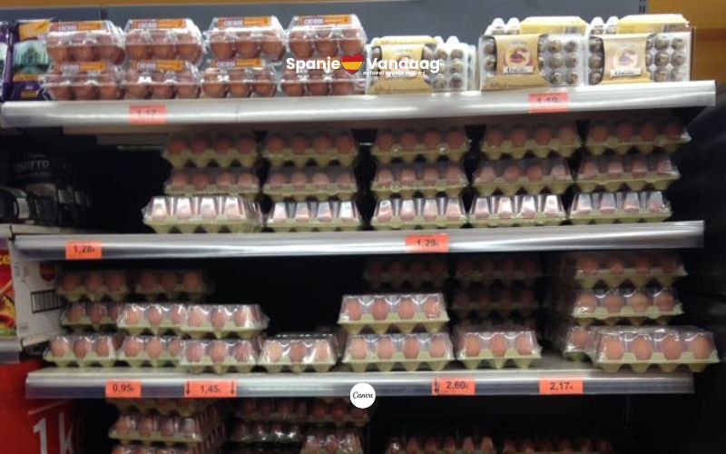 mercadona / redactie