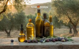 Zonder Spaanse olie geen chef-kok: deel 4