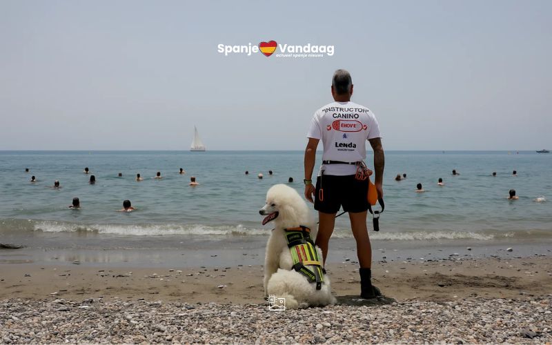 ai-beeld / redactie