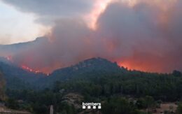 Grote bosbrand in de provincie Tarragona breidt snel uit tot 2.900 hectare verwoeste natuur